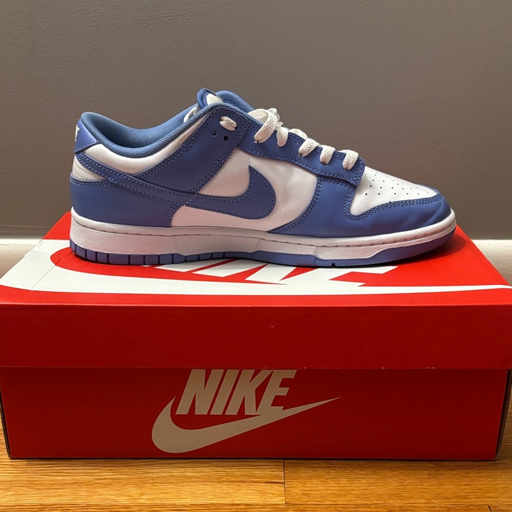 Nike Polar Blue Dunks Size 9.5 - Picture 2 of 4